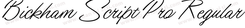 Bickham Script Pro Regular mianfeiz字体转换
